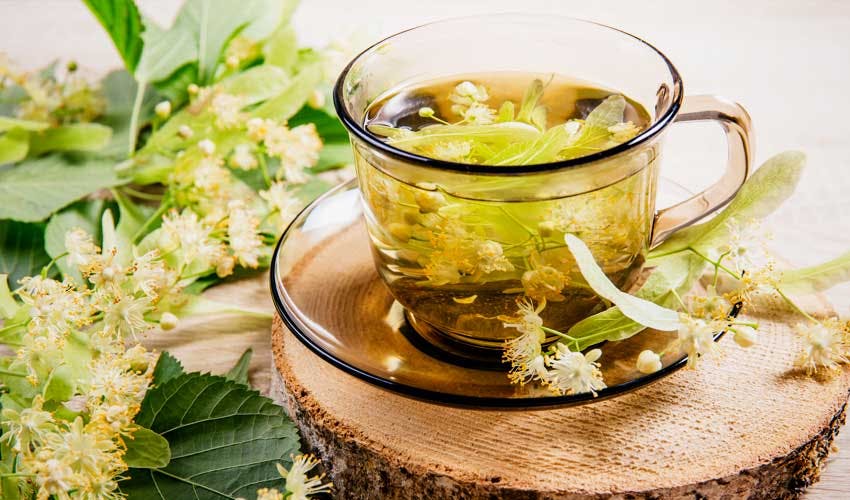 Refreshing Herbal Infusions