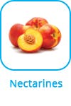 nectarines