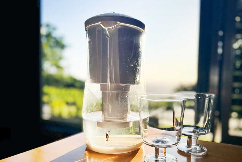  6 Solid Perks of Trying Out and Using a Water Filter Jug