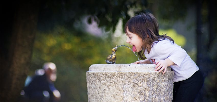 drinking from water fountain in the park