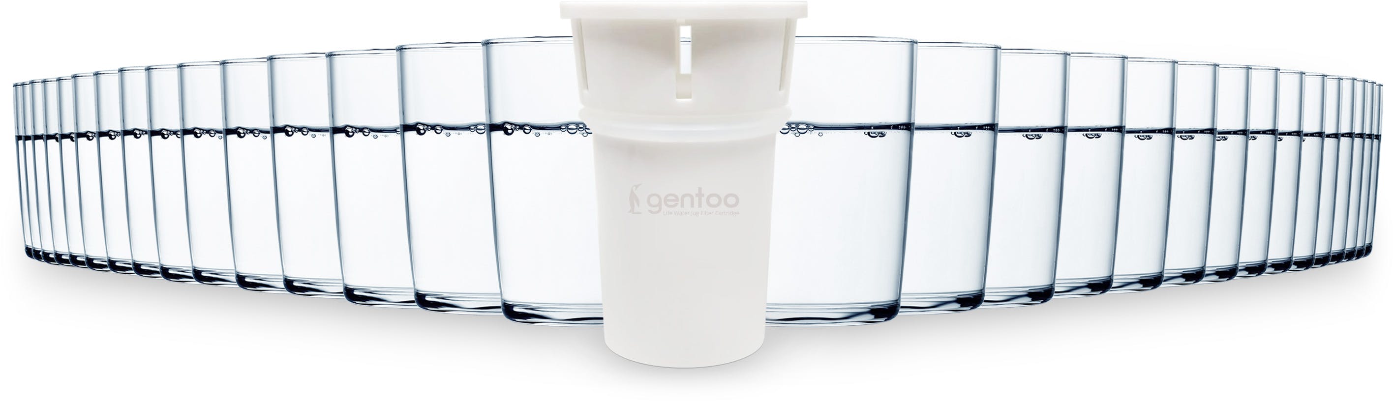 Gentoo Water Filter